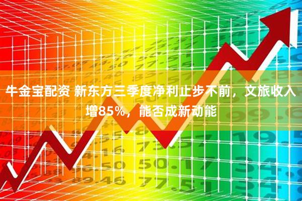 牛金宝配资 新东方三季度净利止步不前，文旅收入增85%，能否成新动能