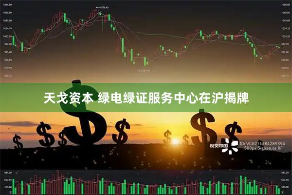 天戈资本 绿电绿证服务中心在沪揭牌