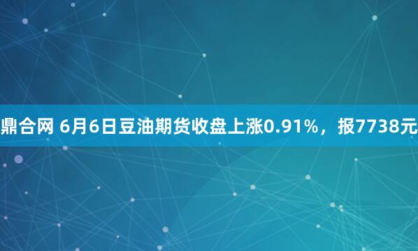 鼎合网 6月6日豆油期货收盘上涨0.91%，报7738元