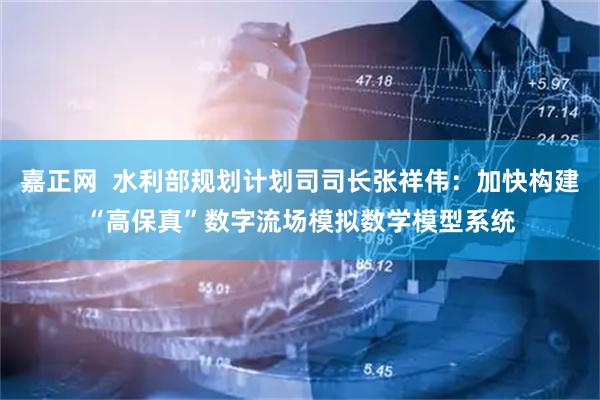 嘉正网  水利部规划计划司司长张祥伟：加快构建“高保真”数字流场模拟数学模型系统