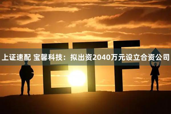 上证速配 宝馨科技:拟出资2040万元设立合资公司