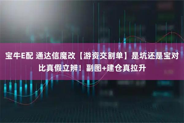 宝牛E配 通达信魔改【游资交割单】是坑还是宝对比真假立辨！副图+建仓真拉升