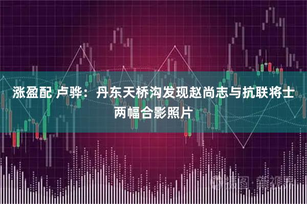 涨盈配 卢骅：丹东天桥沟发现赵尚志与抗联将士两幅合影照片